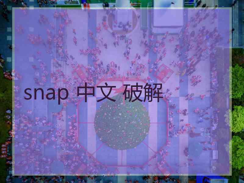 snap 中文 破解