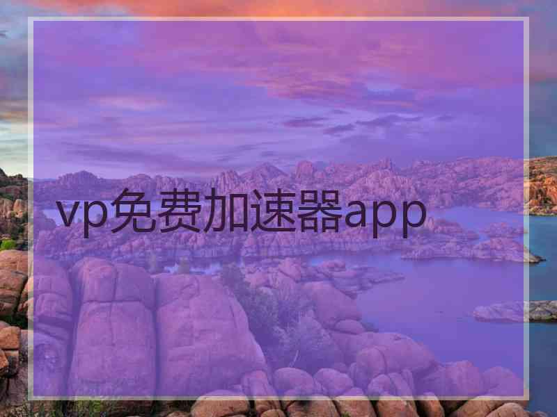 vp免费加速器app