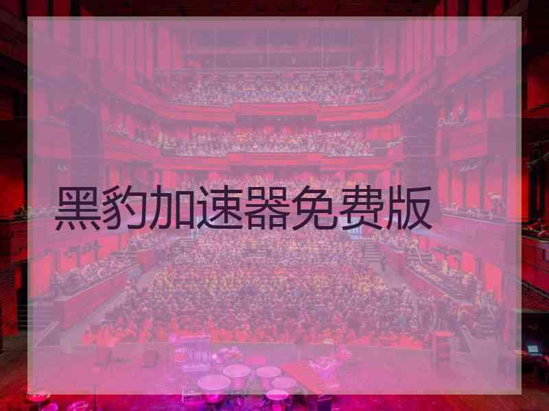 黑豹加速器免费版