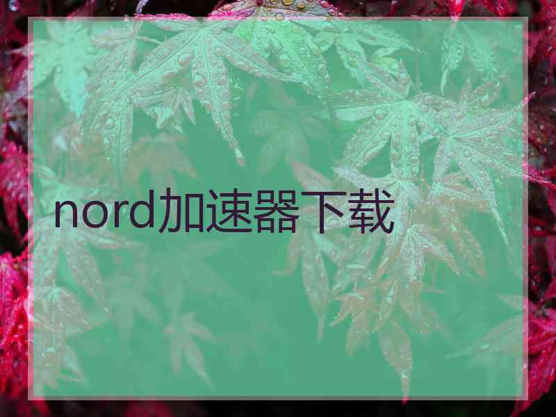 nord加速器下载