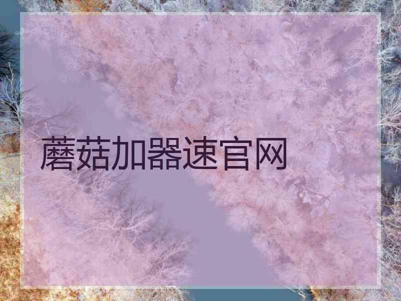 蘑菇加器速官网