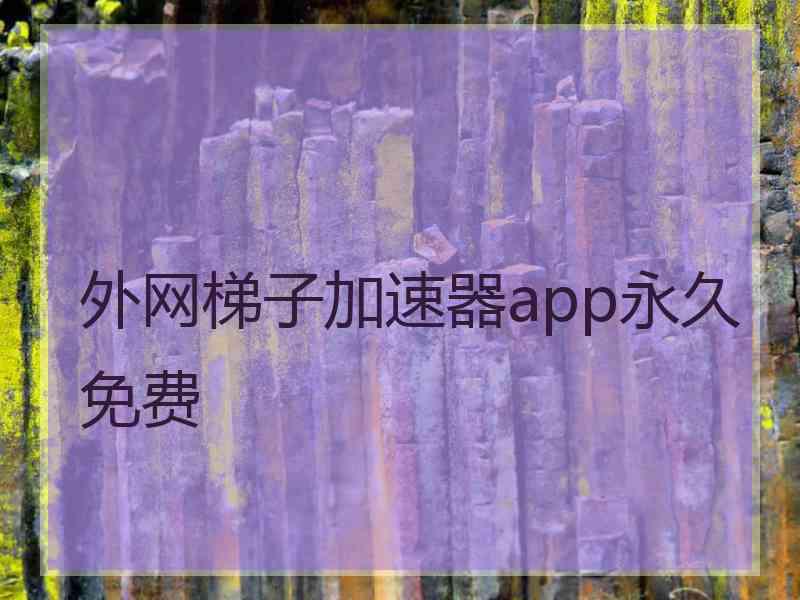 外网梯子加速器app永久免费