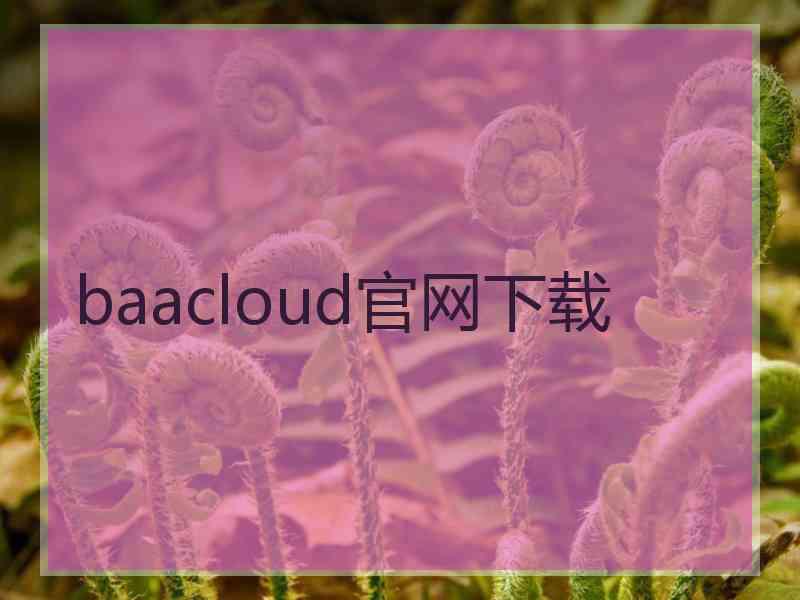 baacloud官网下载