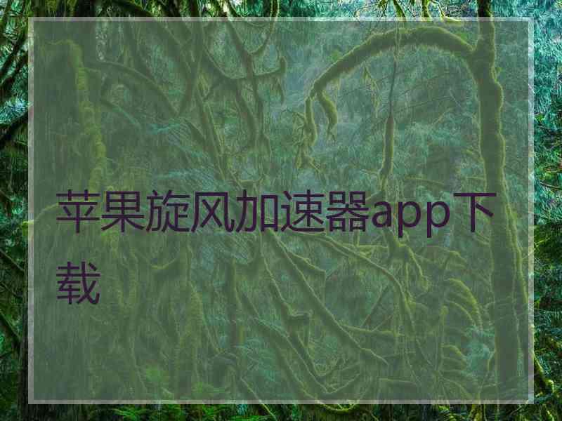 苹果旋风加速器app下载