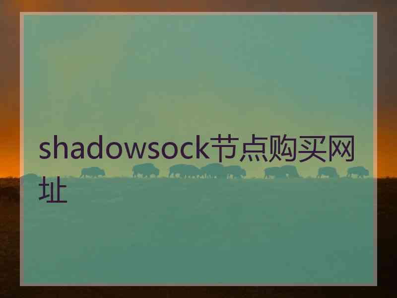 shadowsock节点购买网址