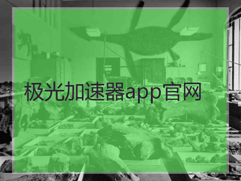 极光加速器app官网