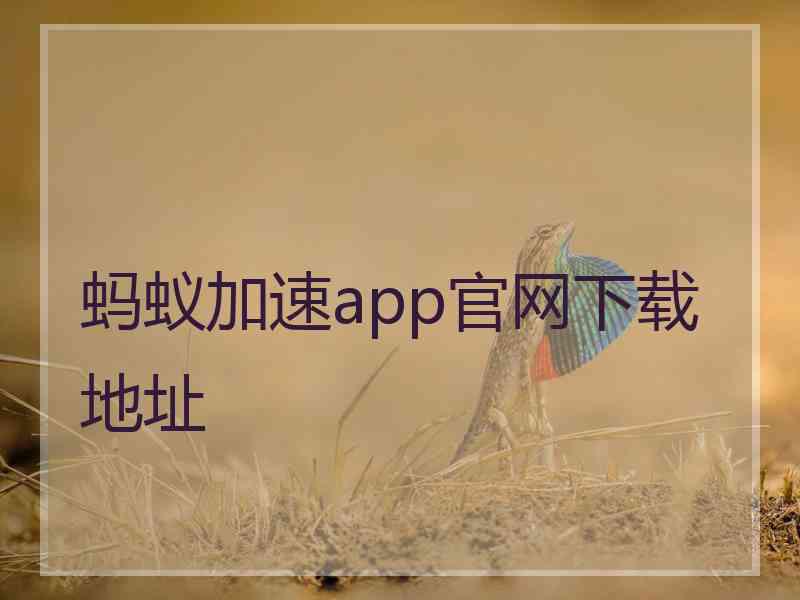 蚂蚁加速app官网下载地址