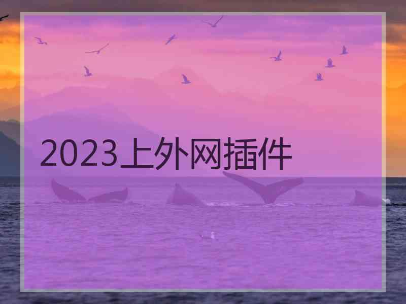 2023上外网插件