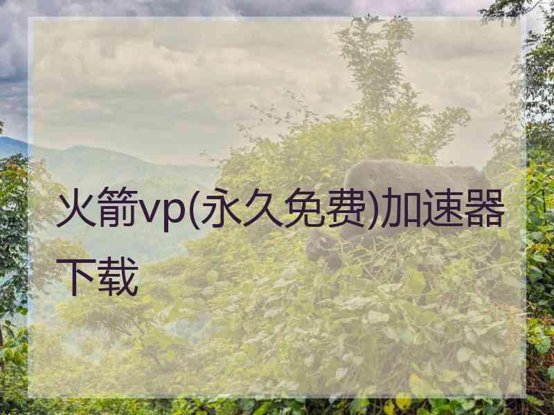 火箭vp(永久免费)加速器下载