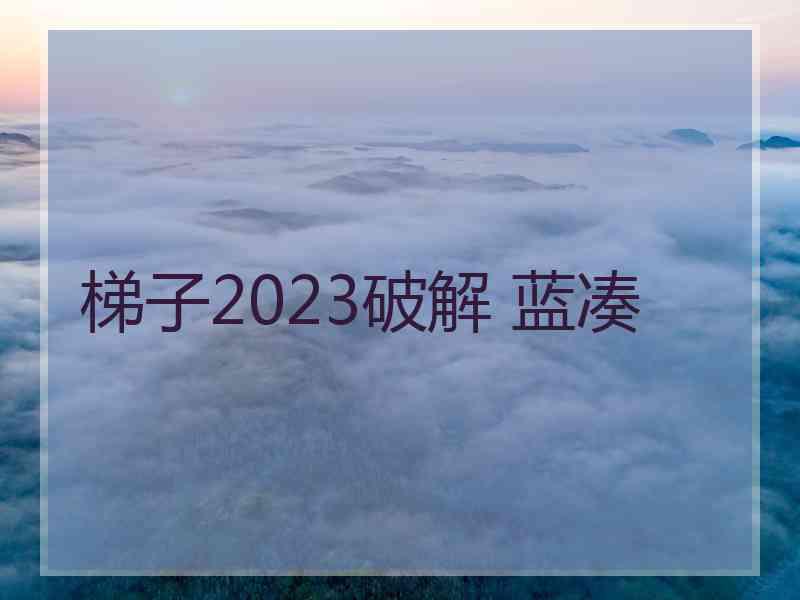 梯子2023破解 蓝凑