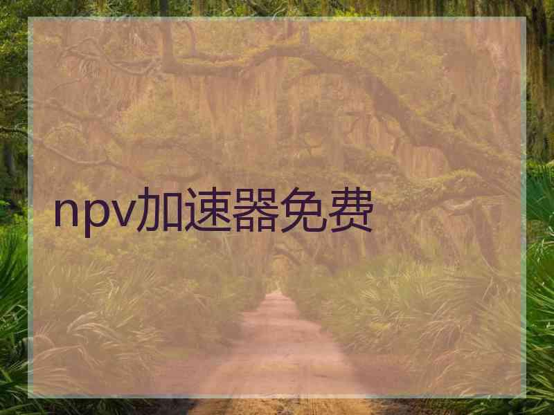 npv加速器免费