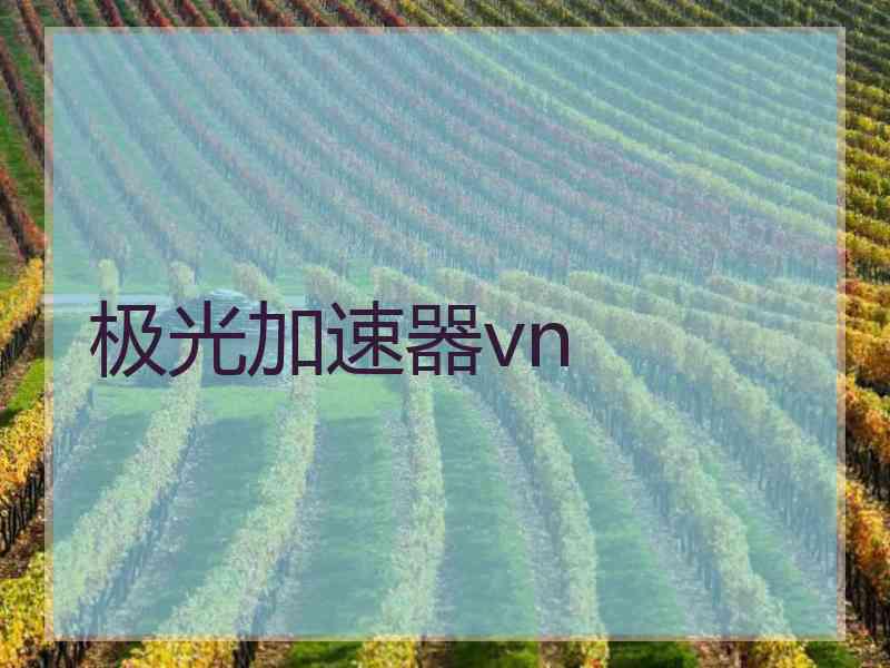 极光加速器vn