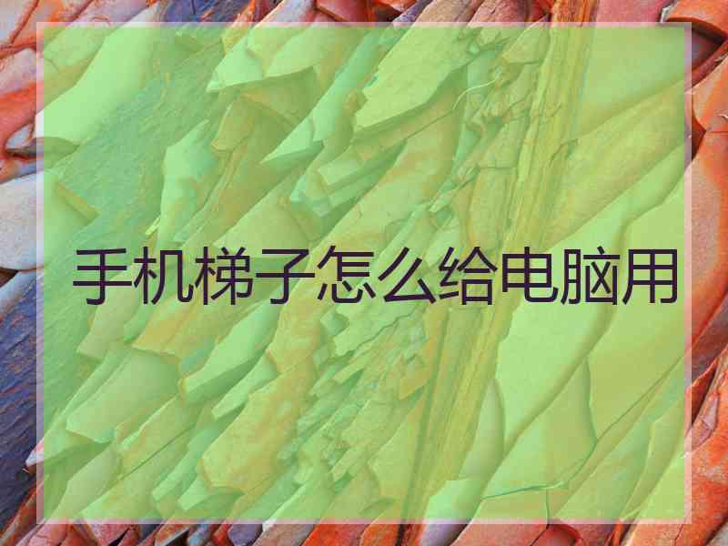 手机梯子怎么给电脑用