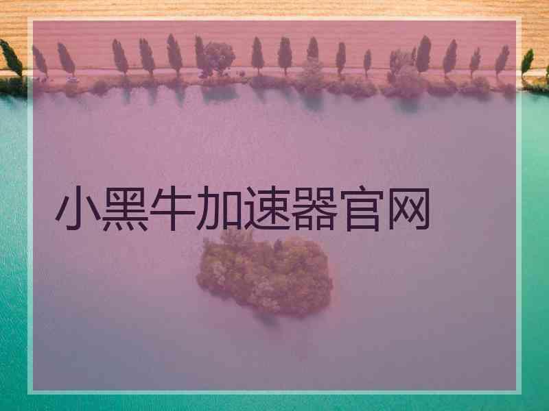 小黑牛加速器官网