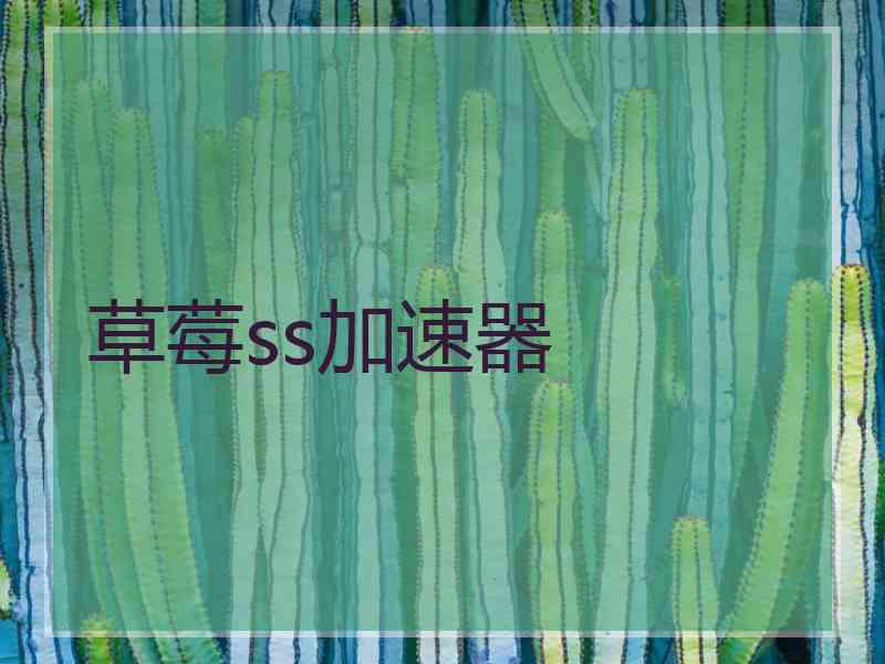 草莓ss加速器