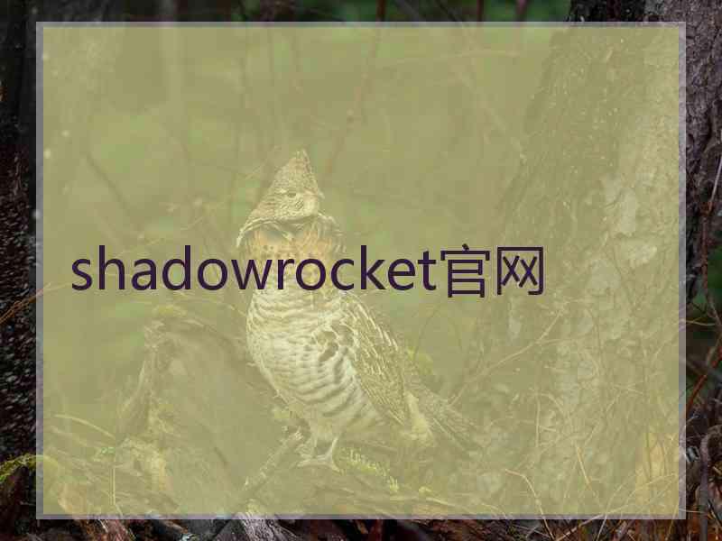 shadowrocket官网