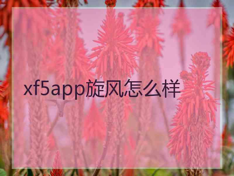 xf5app旋风怎么样