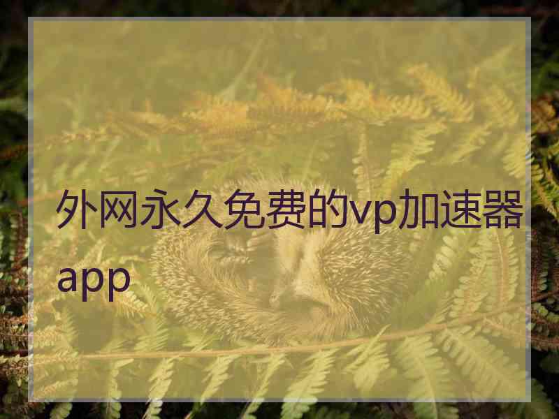 外网永久免费的vp加速器app