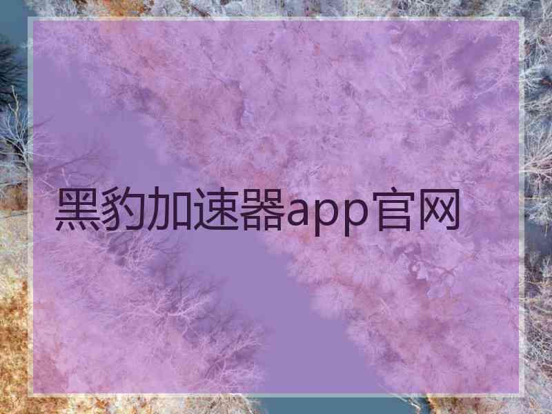 黑豹加速器app官网