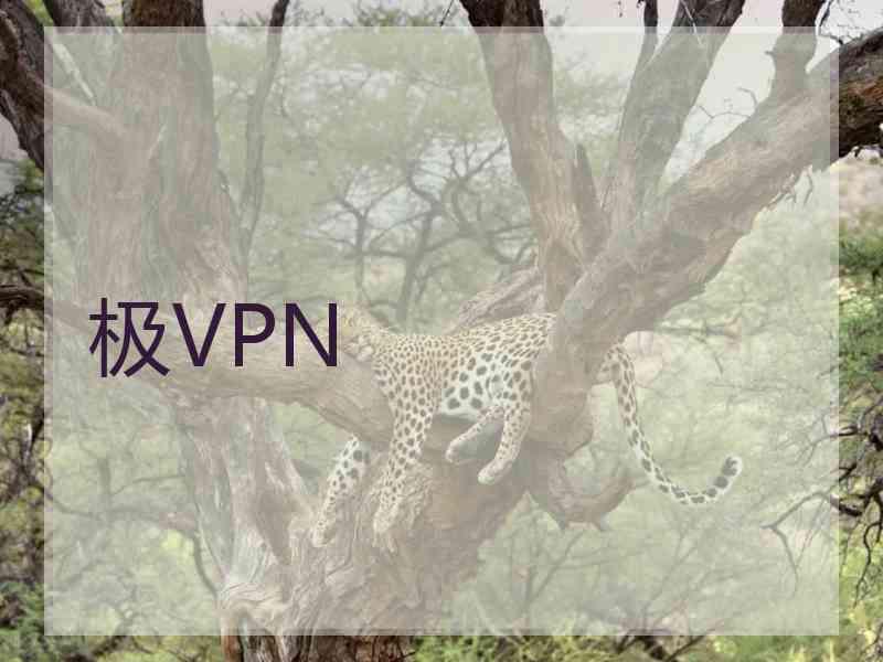 极VPN