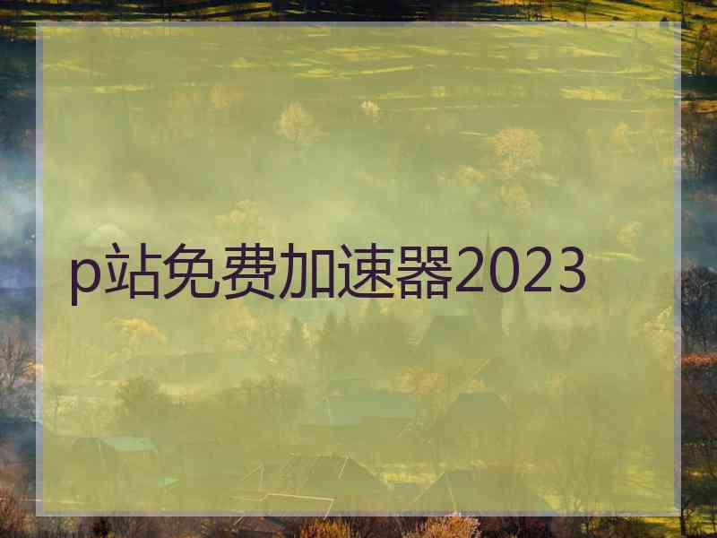 p站免费加速器2023