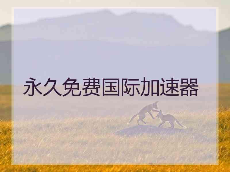 永久免费国际加速器