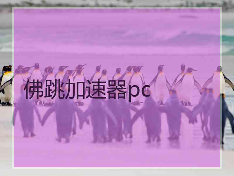 佛跳加速器pc