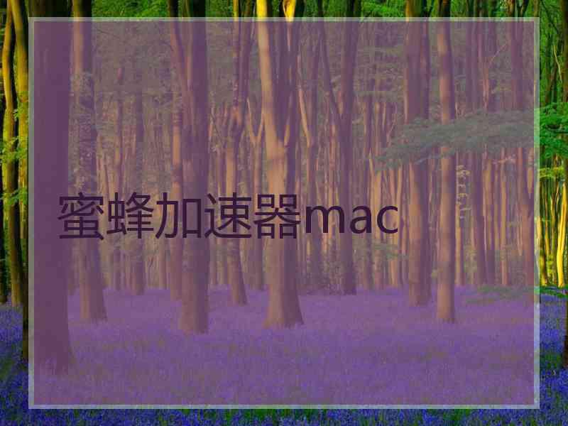 蜜蜂加速器mac