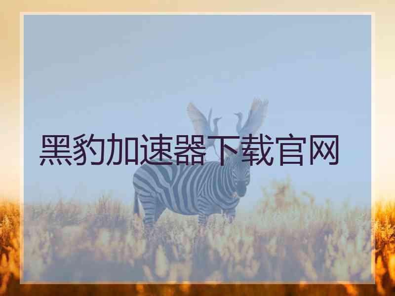 黑豹加速器下载官网