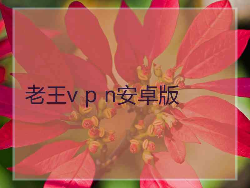 老王v p n安卓版