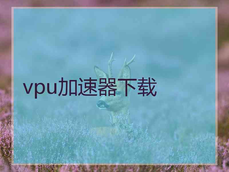 vpu加速器下载