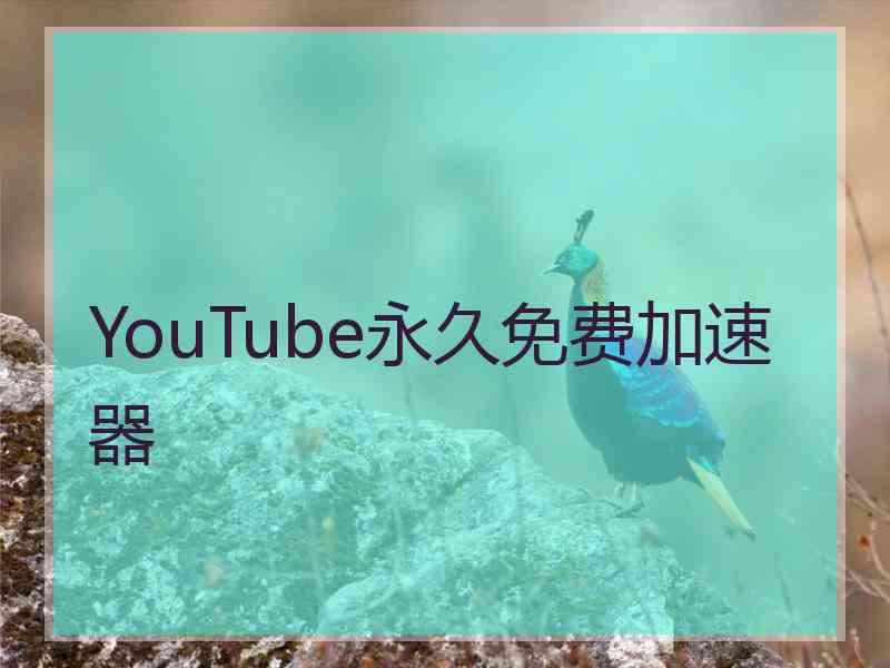 YouTube永久免费加速器