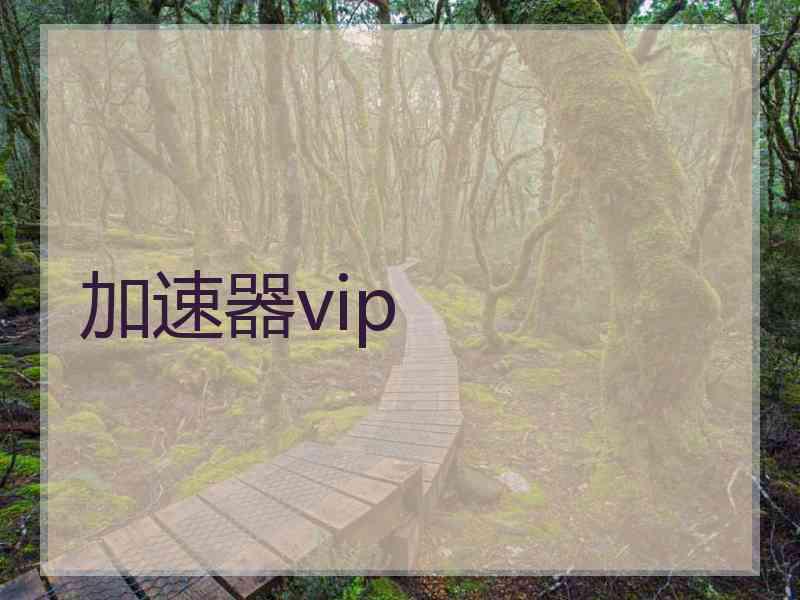 加速器vip