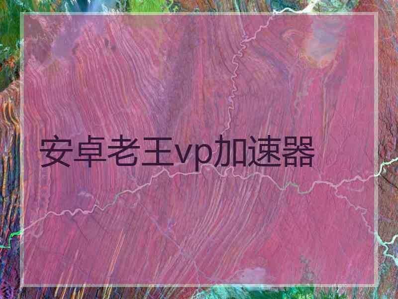 安卓老王vp加速器