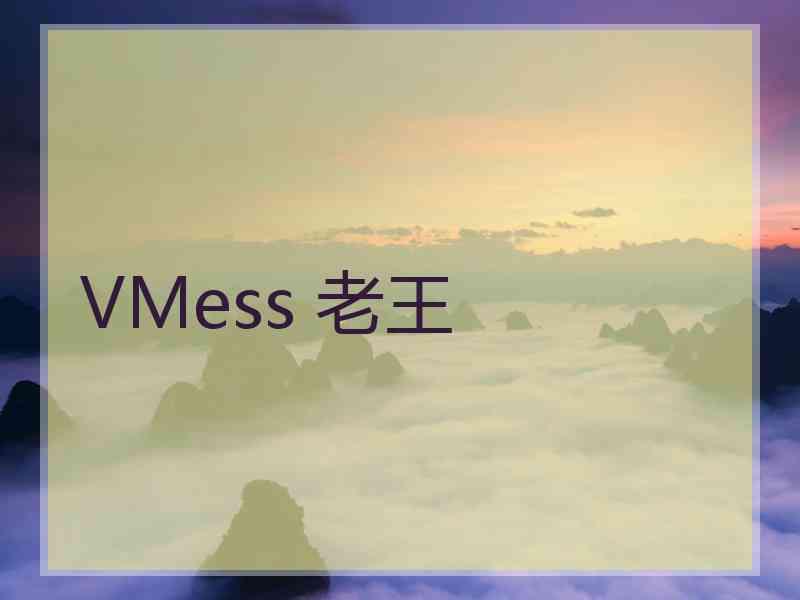 VMess 老王