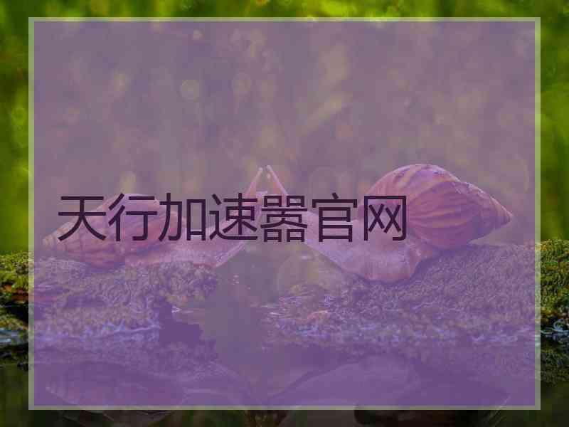 天行加速嚣官网