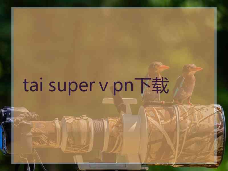 tai superⅴpn下载