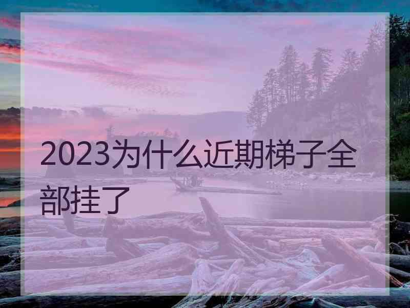 2023为什么近期梯子全部挂了