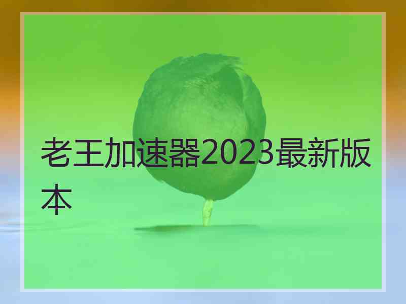 老王加速器2023最新版本