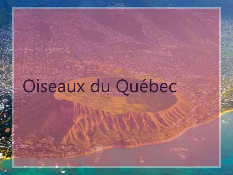 Oiseaux du Québec