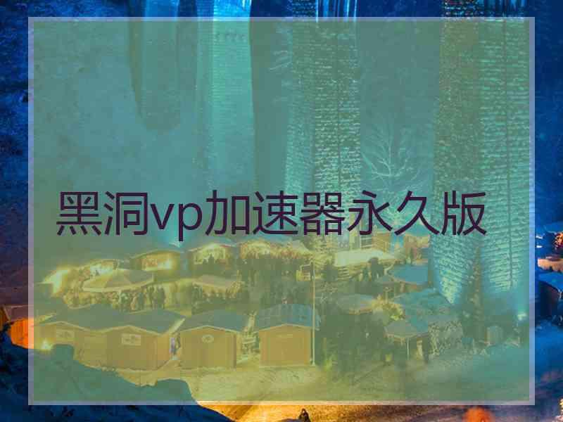 黑洞vp加速器永久版