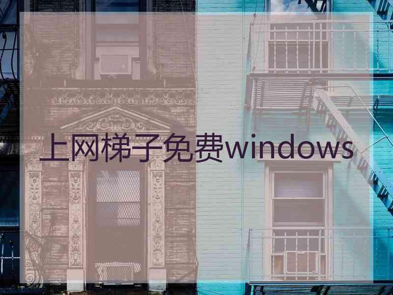 上网梯子免费windows