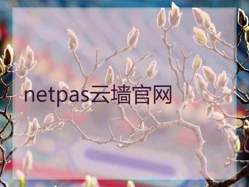 netpas云墙官网