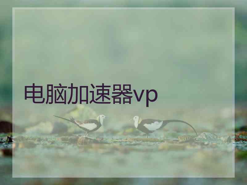 电脑加速器vp