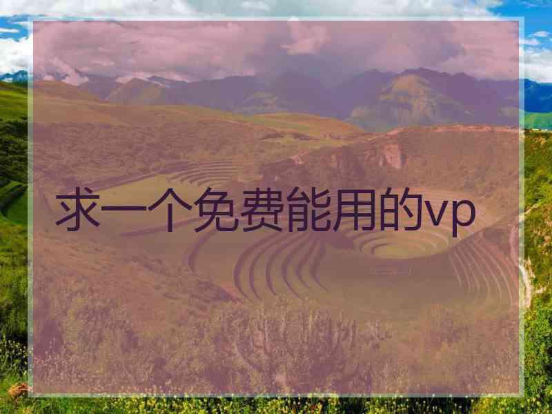 求一个免费能用的vp