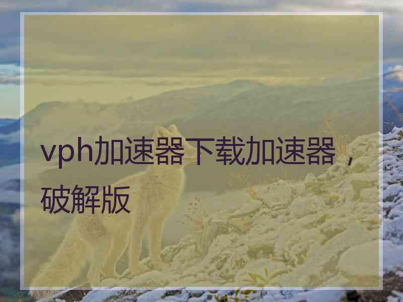 vph加速器下载加速器，破解版