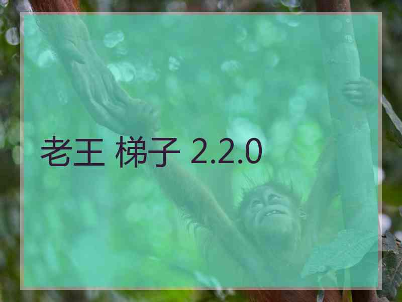 老王 梯子 2.2.0