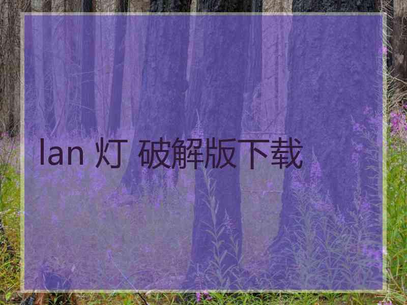 lan 灯 破解版下载