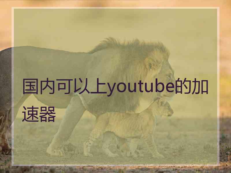 国内可以上youtube的加速器