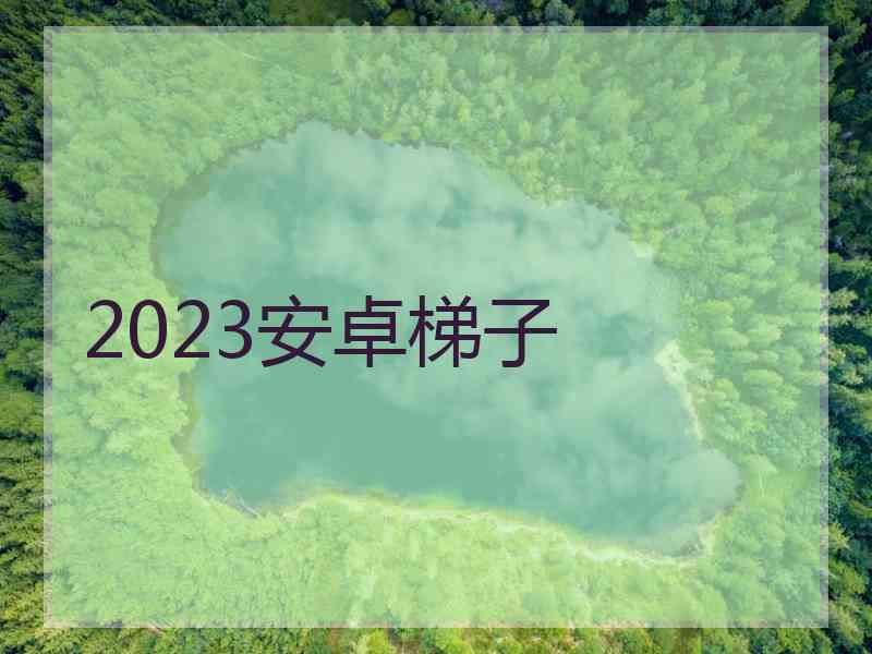 2023安卓梯子